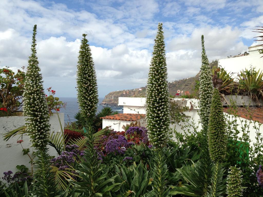 Apartments Finca El Rincon Ла-Оротава Номер фото