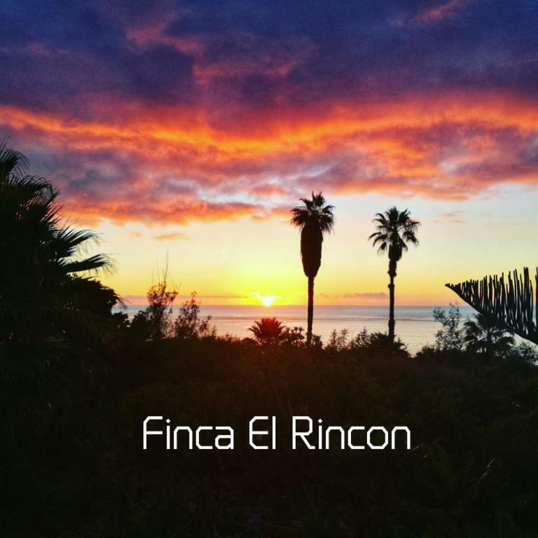Apartments Finca El Rincon Ла-Оротава Екстер'єр фото